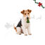 1 ud. Wonder Christmas &Aacute;rbol Piel Prensada Snacks para perros, , large indicador imagen numero 1