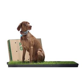 Petground Empapador para perros