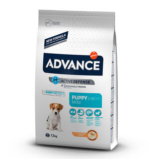Affinity Advance Active Defense Puppy Mini pienso para perros