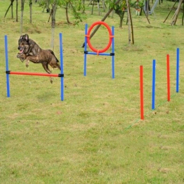 Set de entrenamiento PawHut 10 piezas  para Perros color Multicolor, , large image number null