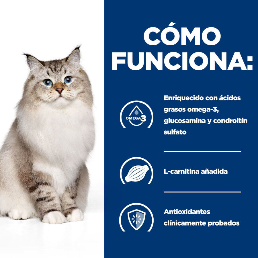 1.5 kg Hill's Prescription Diet Mobility j/d pienso para gatos, , large Imagen numero 5