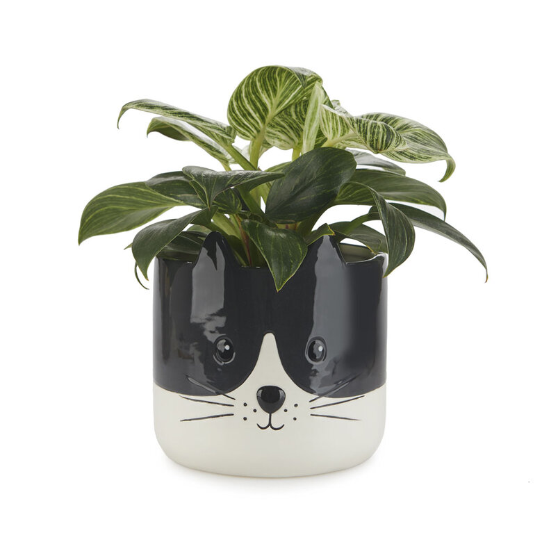 Balvi Maceta Kitty Color Negro y blanco Original maceta con diseño de gatito Cerámica 13,7x13,5x13,5 cm, , large image number null