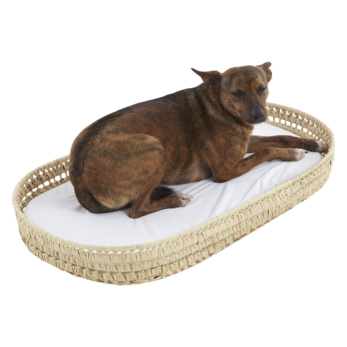 Cama de palma EliteLounge + colch&oacute;n impermable + textil para colch&oacute;n Ros&eacute; Vich&yacute;, , large Imagen numero 3