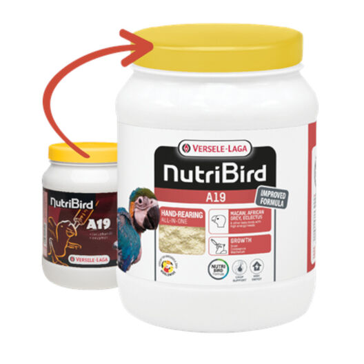 Versele-Laga NutriBird A19 Papilla para Cría de loros, , large image number null