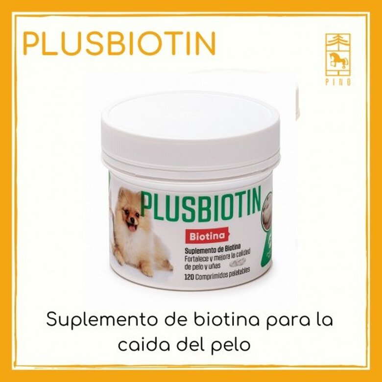 Laboratorios Pino Plusbiotin Biotina para perros y gatos, , large image number null