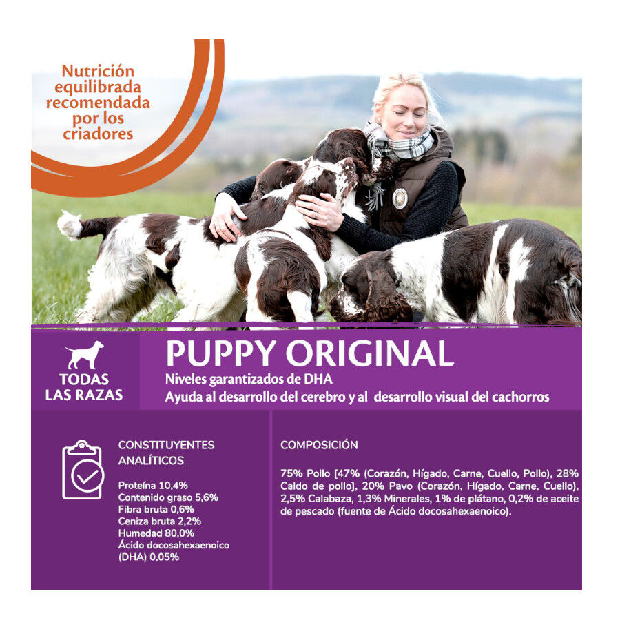 Wellness Core Pollo y Pavo Lata para cachorros thumbnail