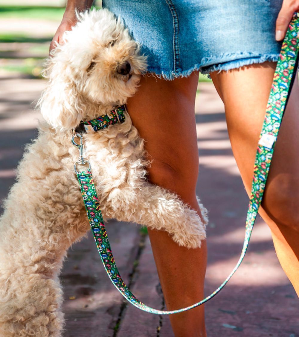 Collar Pamppy diseño Funny Cómic Mouth color Multicolor thumbnail