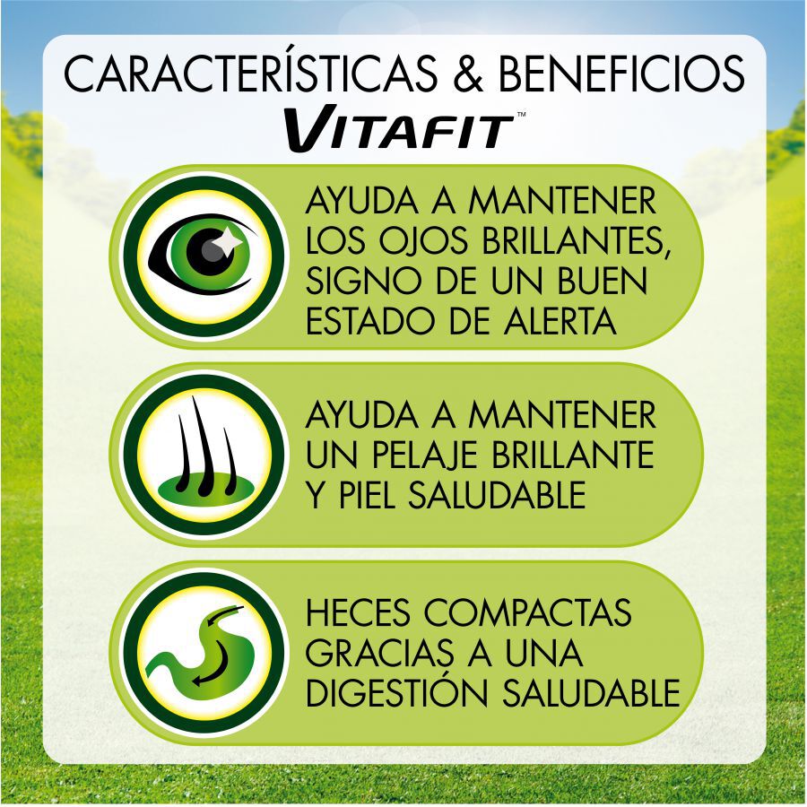 4 sobres x 85 g Friskies Carne en Salsa sobre para perros, , large Imagen numero 2