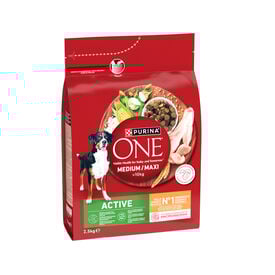 Purina One Active Pienso Pollo para perros