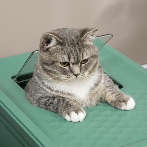 Arenero plegable para on sale gatos