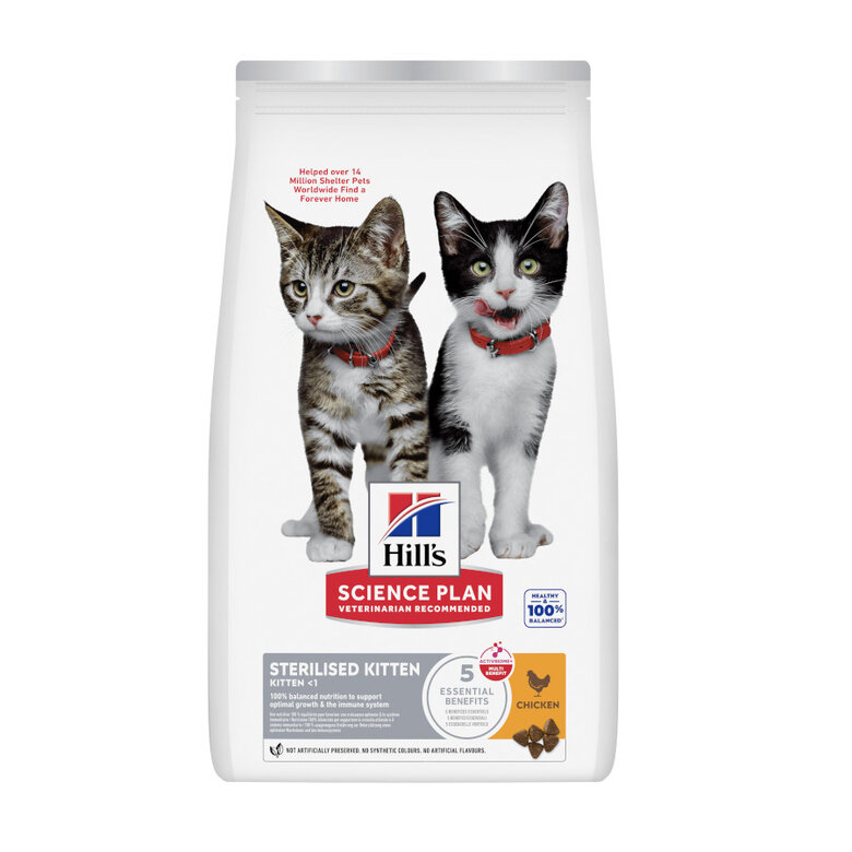 1.5 kg Hill's Science Plan Sterilised Kitten Pollo pienso para gatos