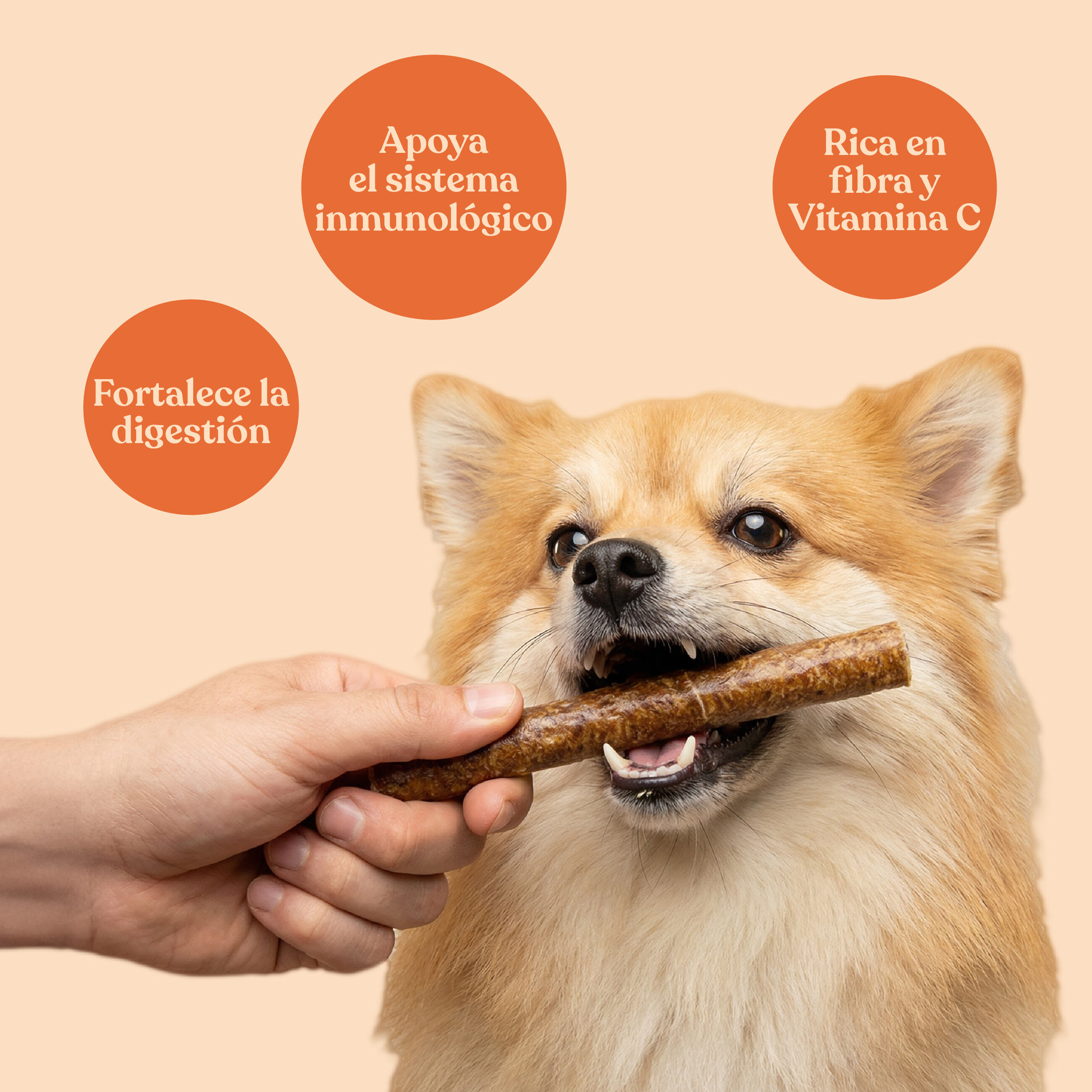 dr.bimix Barritas de 93% pato y 2% naranja para Perros | Snack Natural Premium, , large Imagen numero 3