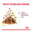 85 g Royal Canin Adult Sensory Smell salsa sobre para gatos, , large indicador imagen numero 4