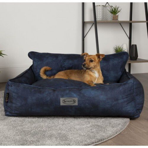 Cama para perros color Azul, , large Imagen numero 3