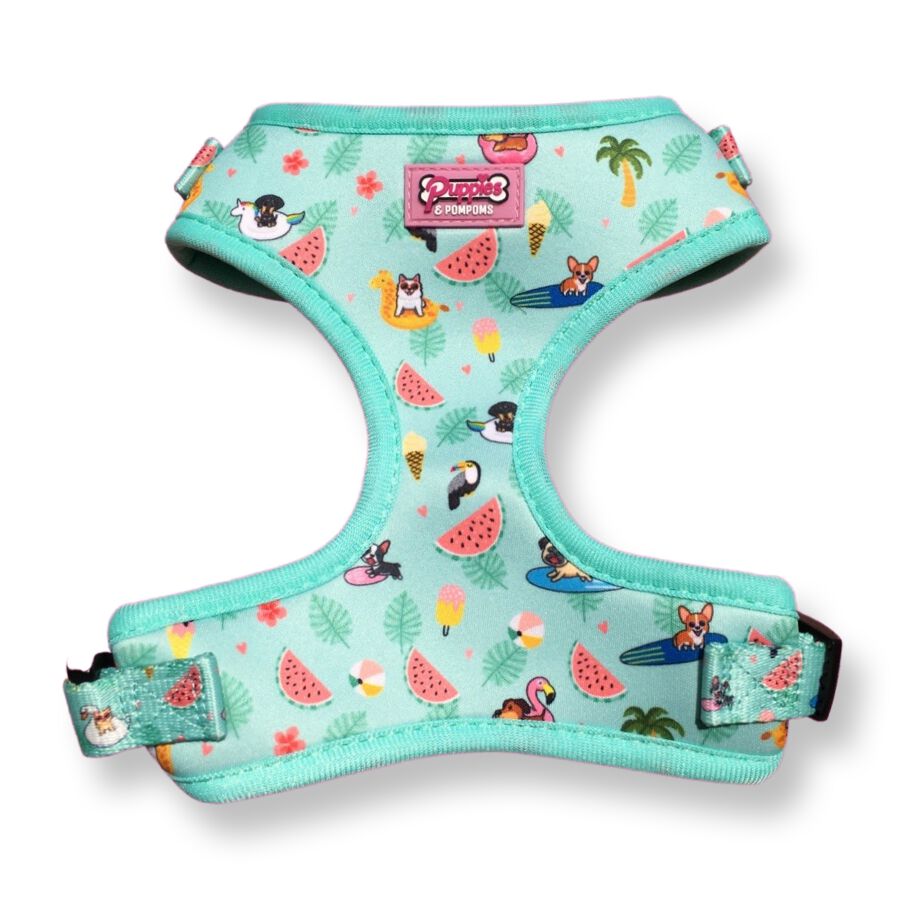 Arn&eacute;s - Fiesta De Verano, , large Imagen numero 1