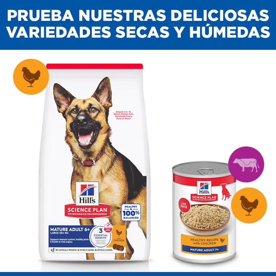 18 kg Hill's Science Plan Mature Adult Large Pollo pienso para perros, , large Imagen numero 8