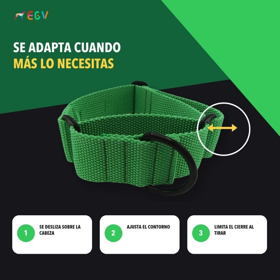 EGV - Collar Martingale. Collar galgo hecho a mano en Espa&ntilde;a (Verde), , large Imagen numero 3
