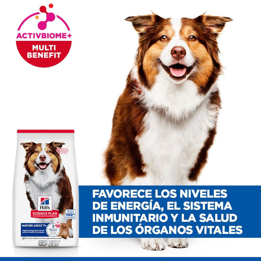 14 kg Hill's Science Plan Mature Adult Medium Cordero pienso para perros, , large Imagen numero 4