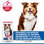14 kg Hill's Science Plan Mature Adult Medium Cordero pienso para perros, , large indicador imagen numero 3