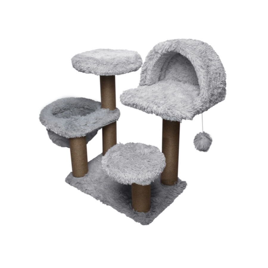 Catshion scratch sales