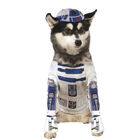 Rubie's Disfraz Robot R2-D2 para perros halloween, , large image number null