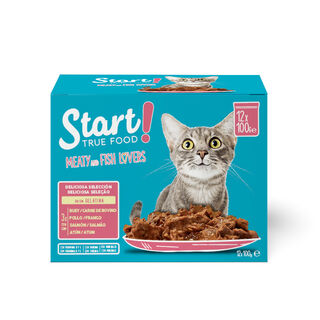 Start Cat Carne con Pollo y Pescado en Gelatina sobre para gatos – Multipack