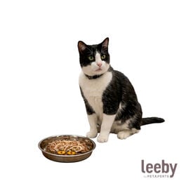Leeby Comedero Acero Inoxidable Antideslizante Marr&oacute;n para gatos