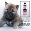 Petuxe champú para cachorros vegano, , large indicador imagen numero 2