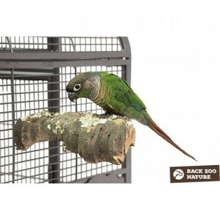 Taco de corteza natural para loros Cool Parrots marrón