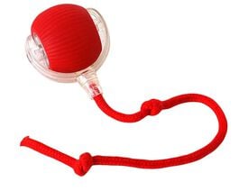 Pelota Interactiva para mascotas