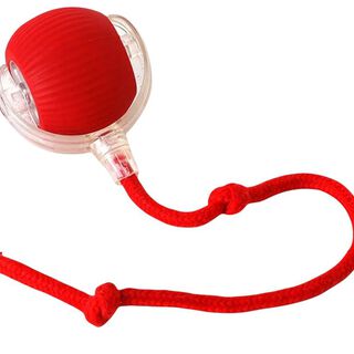 Pelota Interactiva para mascotas