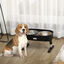 PawHut Comedero Elevado para Perros de 4 Alturas Ajustables Comedero Doble para Perros con Tazón 1000 ml y Tazón Lento 600 ml de Acero Inoxidable 43x25x30 cm Negro., , large indicador imagen numero 2