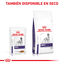 12 sobres x 85 g Royal Canin Expert Adult L&aacute;minas en Salsa sobre para perros, , large indicador imagen numero 6
