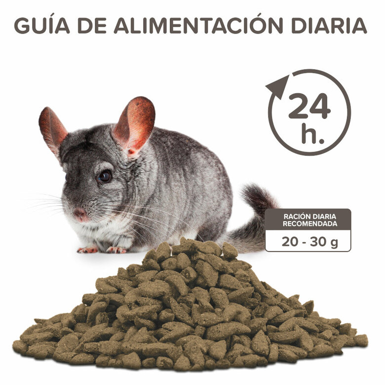 Beaphar Care+ Pienso para chinchillas, , large image number null