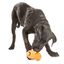 Juguete dispensador de premios para perros color Naranja, , large indicador imagen numero 3