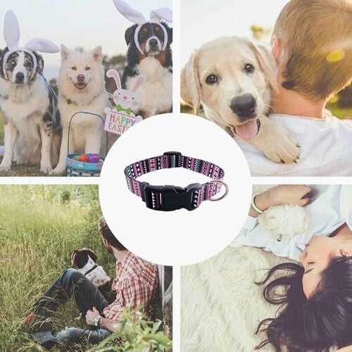 Collar étnico para perro color Morado thumbnail