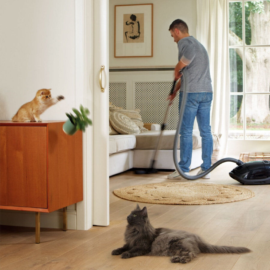 Beaphar CatComfort Excellence Difusor de Feromonas para gatos thumbnail