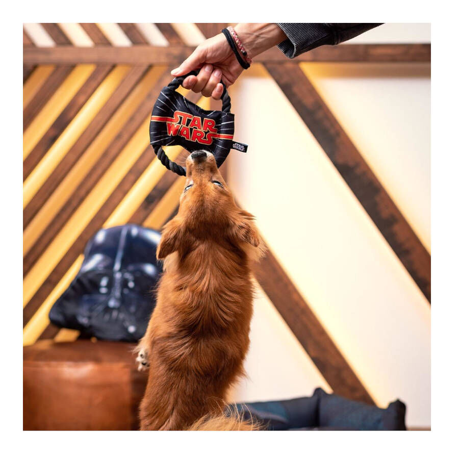 Disney Star Wars Disco de cuerda para perros, , large Imagen numero 5