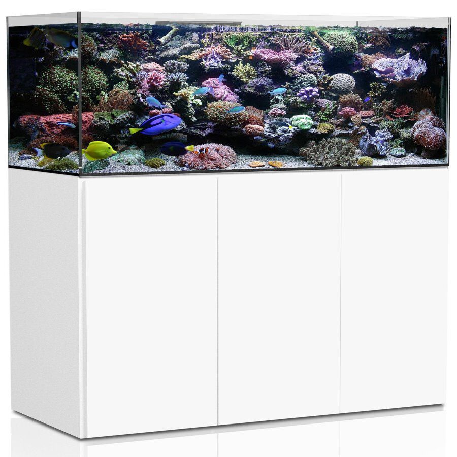 Aquamedic Armatus Acuario Blanco de agua salada