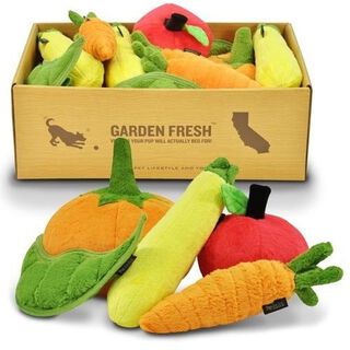 Pet lifestyle peluches jardín ecológico para mascotas