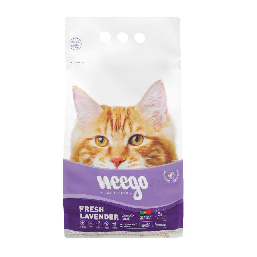 Weego Fresh Lavender Arena Aglomerante para gatos