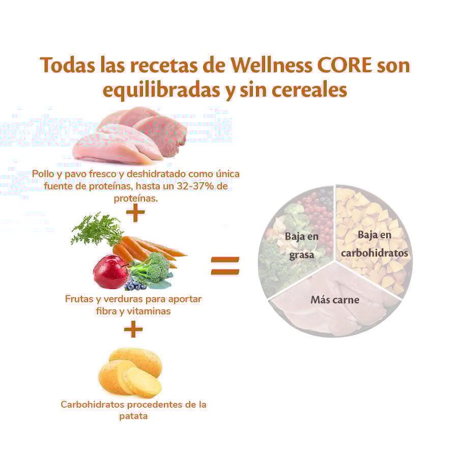 Wellness Core Adult Small Healthy Pavo pienso para perros thumbnail