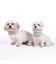 Cuello Bufanda para perro Groc Groc Uoamy Gris Peluche, , large indicador imagen numero 2
