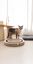 Althea Living - Juguete Interactivo Rascador para Gatos con cartón corrugado y pelotas giratorias, , large indicador imagen numero 2