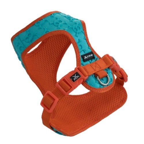 Nayeco Calaveras 3D arn&eacute;s para perros azul Imagen numero 1