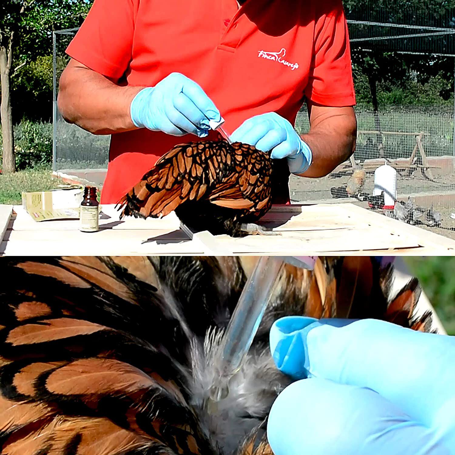 Finca casarejo nackentropfen desparasitante natural para aves de corral thumbnail