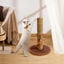 Nobleza – Poste rascador para gatos de sisal con juguete. Pequeño, Color Marrón, 30 * 30 * 44 cm, , large indicador imagen numero 5