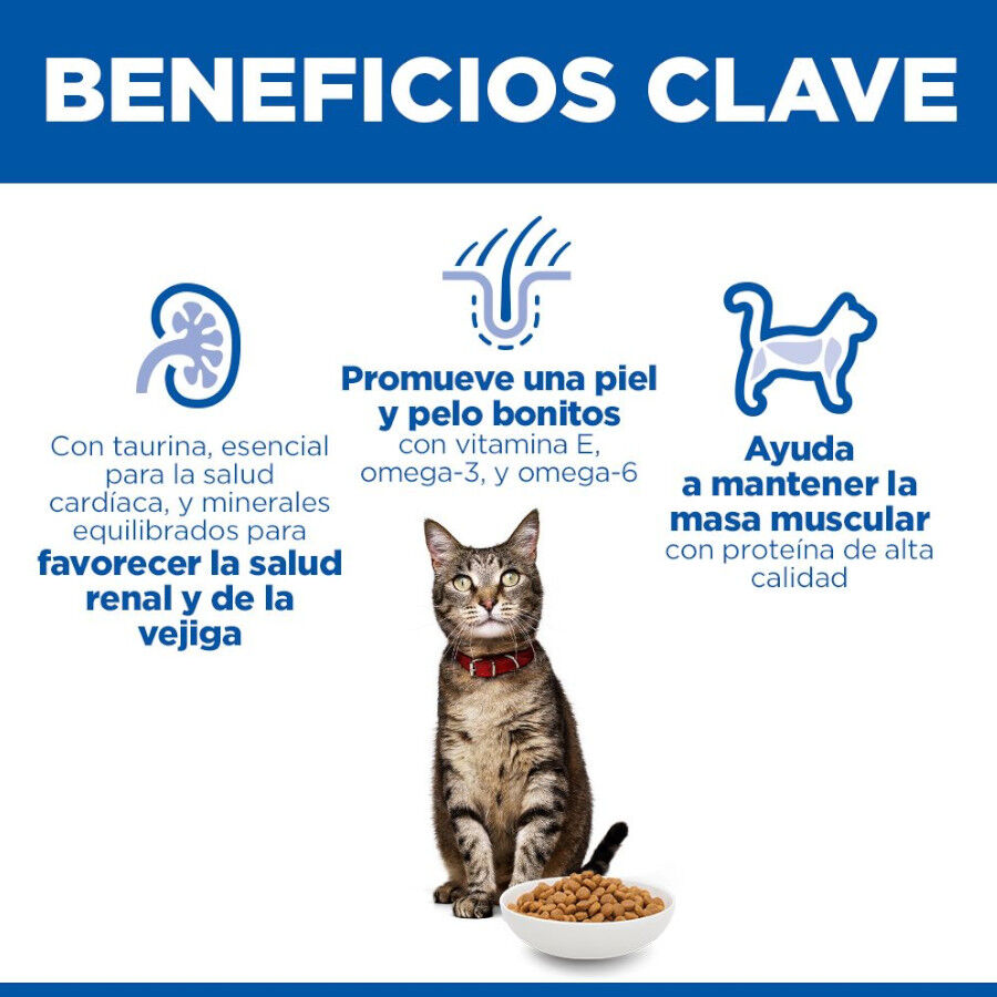 10 kg Hill's Science Plan Adult Cordero pienso para gatos, , large Imagen numero 5