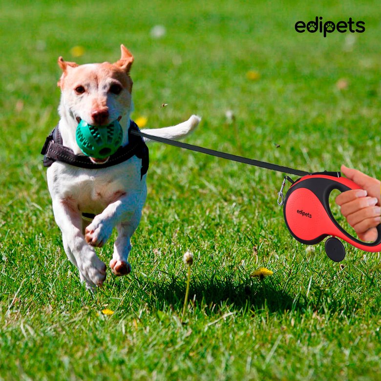 Edipets correa extensible con sistema de frenado rojo para perros, , large image number null