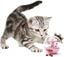 Bola dispensadora de Snacks Catit para gatos, , large indicador imagen numero 1
